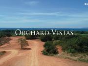 575 sq.m Leisure Lot in Anvaya Cove Orchard Vistas Pre...