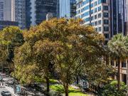 57 York Street, Sydney NSW 2000 Apartment For Rent | Domain