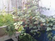 $ 580.000 Casa en Arriendo en San Bernardo 2 dormitorios...