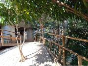 58 Área Útil Apartamento Alugar, 3 Dormitórios...