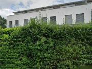 58 m2 apartment for rent in Dornbirn