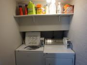 58 Sweetland Ave. 1 Bedroom Apartment for Rent at 58...