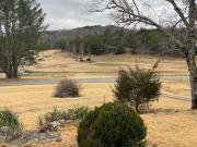 598 Buffalo Creek Road