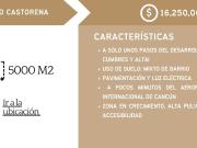 5,000 M2 TERRENO SOBRE AV. ROGELIO CASTORENA EXCELENTE...
