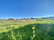 5.000 mt2 sector Los Laureles, Limache