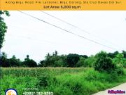 5,000 sqm Lot for Sale in Darong, Sta Cruz, Davao Del Sur