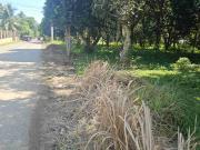 5,000 SQM PRIME LOT FOR SALE – MINTAL, DAVAO CITY