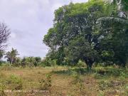 5,172 sqm farm lot for sale in Nueva Valencia, Guimaras