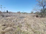 5.1 ha Land available in Kameeldrift