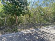5,218 sq.m Residential Lot for sale in Ma Luisa Estate... 5,218 sq.m Residential Lot for sale in Ma Luisa Estate...
