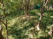 5.2 ha Farm in Lanseria and surrounds