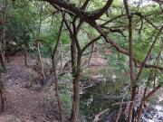 5.2 ha Land available in Wonderboom