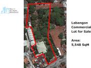 5,548 sqm Commercial Lot For Sale in Labangon Cebu near...