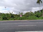 5.5 Hectares Agriculural Lot For Sale in Alaminos, Laguna