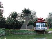 5.5 marla corner plot