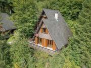 5.5 Zi Ferienhaus im Tannenwald