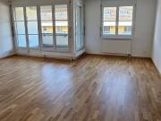 5.5 Zimmer, 164 m², 3. Stock