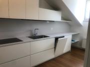 5.5 Zimmer Wohnung  lugano centrocon vista lago