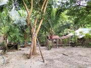 5,740 Sqm. meters Beach Farm Lot for Sale San Antonio,...