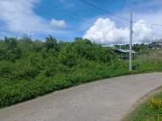 5,975 sqm Lot for Sale in Liloan, Cebu Near...