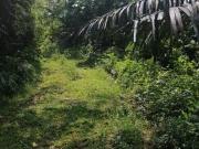 5 Ac Non Bumi Agri Land 170k Per Acre