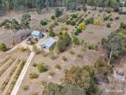5 Acres with Vineyard & Fruit Orchards