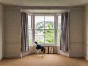 5 Bed, Terraced, South Town, Devon, TQ6 [INVESTMENT...