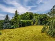 5 bedroom detached house to rent