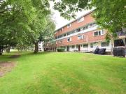 5 bedroom flat to rent