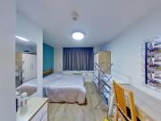 5 bedroom flat to rent