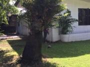 5 Bedroom House and lot for sale at San Lorenzo Village,...