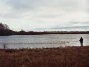 5 Bedroom House Ballina Irland 1111 DS78106846