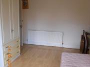 5 bedroom house share to rent