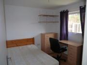 5 bedroom house share to rent