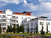 5 bedroom house to rent