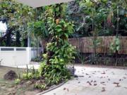 5 Bedroom Modern House for Rent in Forbes Park