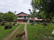 5 Bedroom Rest House and Farm Lot in San Jose Del Monte...
