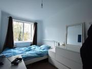 5 bedroom semi detached house to rent