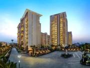 5 BHK 12000 Sq Ft Pent House In SS The Hibiscus, Sector...