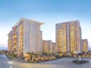 5 BHK 12000 Sq Ft Pent House In The Penthouse At The...