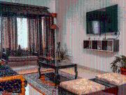 5 BHK Independent House in Civil Lines for rent Jaipur....