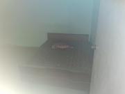 5 BHK Independent House in Kanke for resale Ranchi. The...