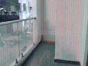 5 BHK Independent House in Whitefield for rent...