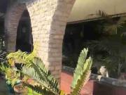 5 BR 568 sqm Bungalow house and lot with basement in...