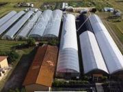 5 camere da letto, Castiglione Del Lago Umbria LS94224301