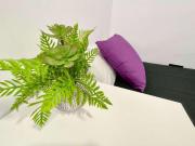 5 Dormitorio Shared Living/Roommate Alicante Alicante...