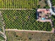 5 Dormitorios Finca Alicante Venta