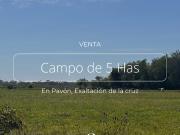5 HAS EN VENTA, PAVON CERCA DE LOS CARDALES