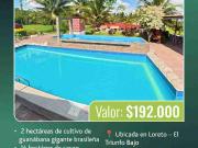 5 HECTÁREAS A LA VENTA