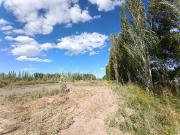 5 héctareas chacra con riego y entrada individual en 25...